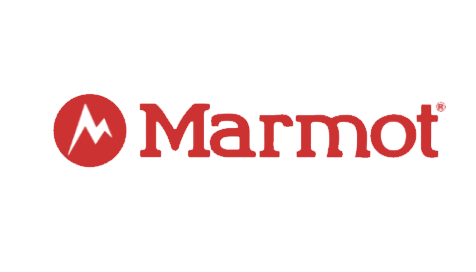 marmot